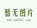 众旺互联 全Flash网站建设业务正式上线