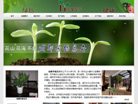 成都芳缘花卉