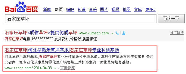 SEO网站优化案例 - 石家庄草坪