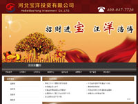 河北宝洋投资有限公司