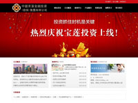 中国宝莲金融投资（担保）集团有限公司