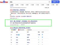 SEO网站优化案例 - 放生