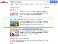 SEO网站优化案例 - 中国天正阀门有限公司