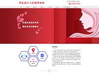 石家庄网站建设案例-河北省三八红旗手协会